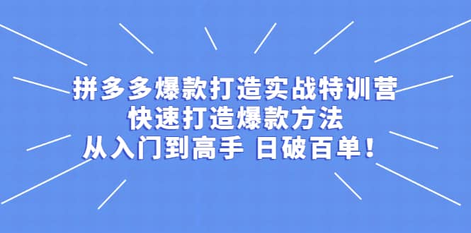 拼多多爆款打造实战特训营：快速打造爆款方法，从入门到高手 日破百单凯哥轻创网-网创项目资源站-副业项目-创业项目-搞钱项目凯哥轻创网