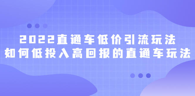 2022直通车低价引流玩法，教大家如何低投入高回报的直通车玩法凯哥轻创网-网创项目资源站-副业项目-创业项目-搞钱项目凯哥轻创网