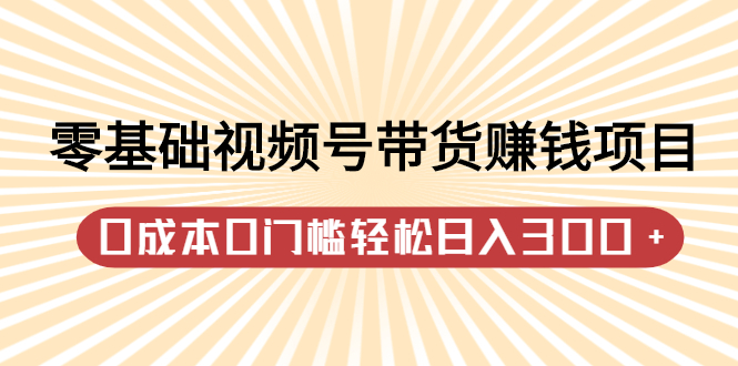 零基础视频号带货赚钱项目，0成本0门槛轻松日入300+【视频教程】凯哥轻创网-网创项目资源站-副业项目-创业项目-搞钱项目凯哥轻创网