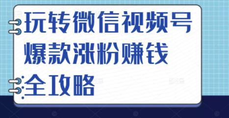 玩转微信视频号爆款涨粉赚钱全攻略，让你快速抓住流量风口，收获红利财富凯哥轻创网-网创项目资源站-副业项目-创业项目-搞钱项目凯哥轻创网